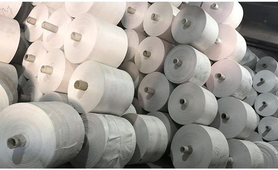 650D - prodotto intessuto pp 100% del polipropilene del panno 2000D su misura